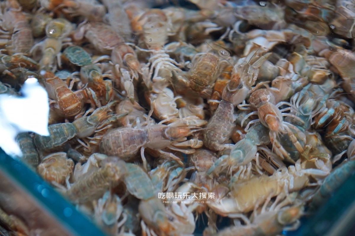 遇上浓浓的大连海蛎子味,青岛海蛎子旅游攻略