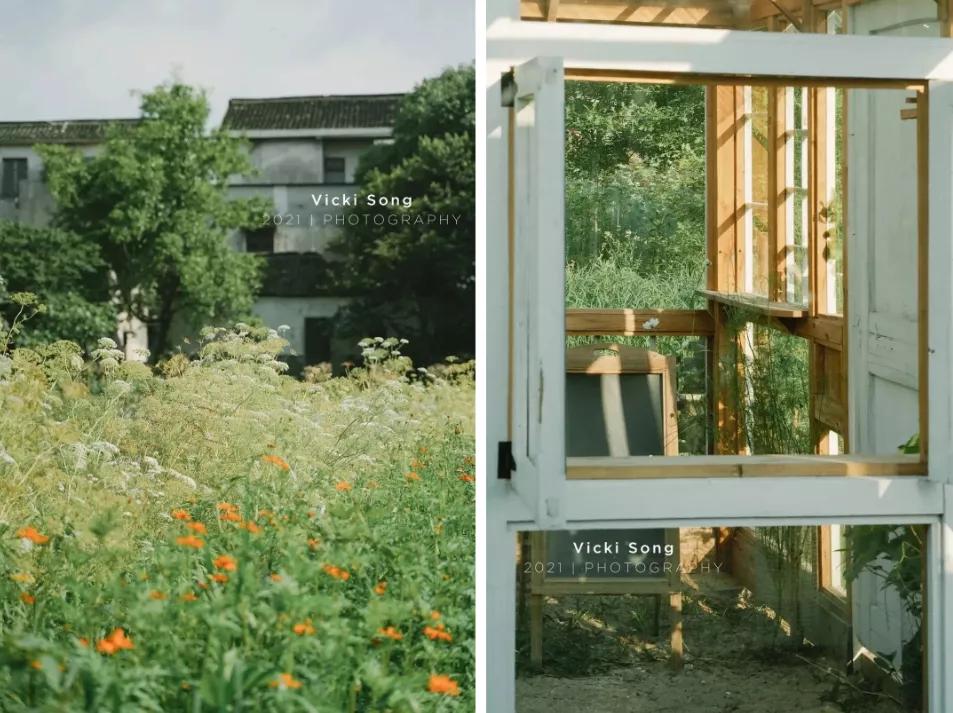 最会说情话的人全集,最会说情话的人