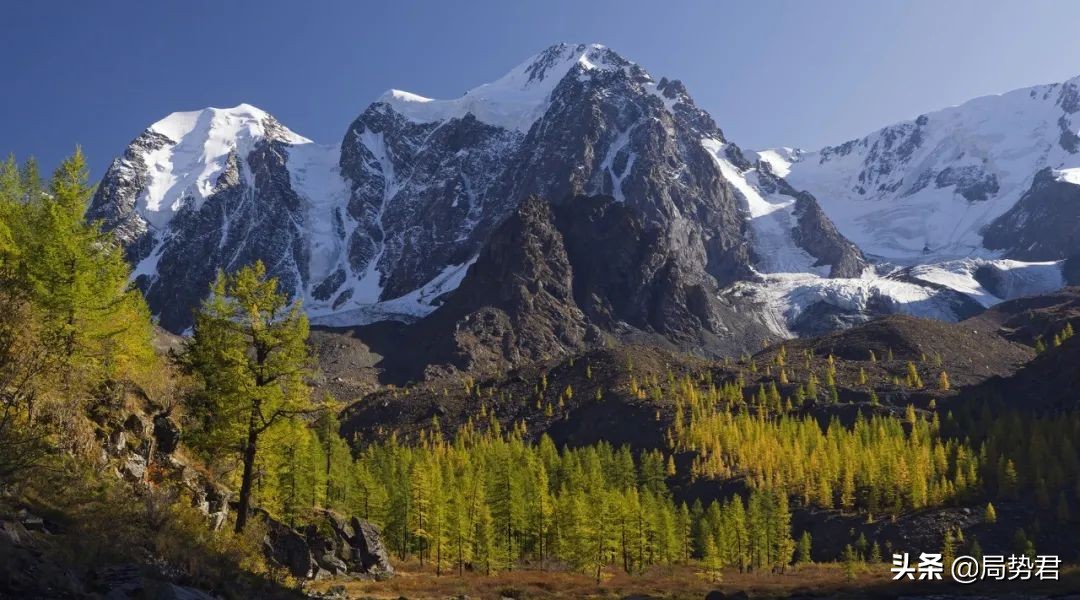 全球森林面积最低的国家排名,亚洲面积最大的人工红松森林