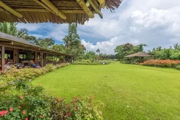 巴厘岛旅游攻略3天自由行住宿,巴厘岛吃住玩攻略视频