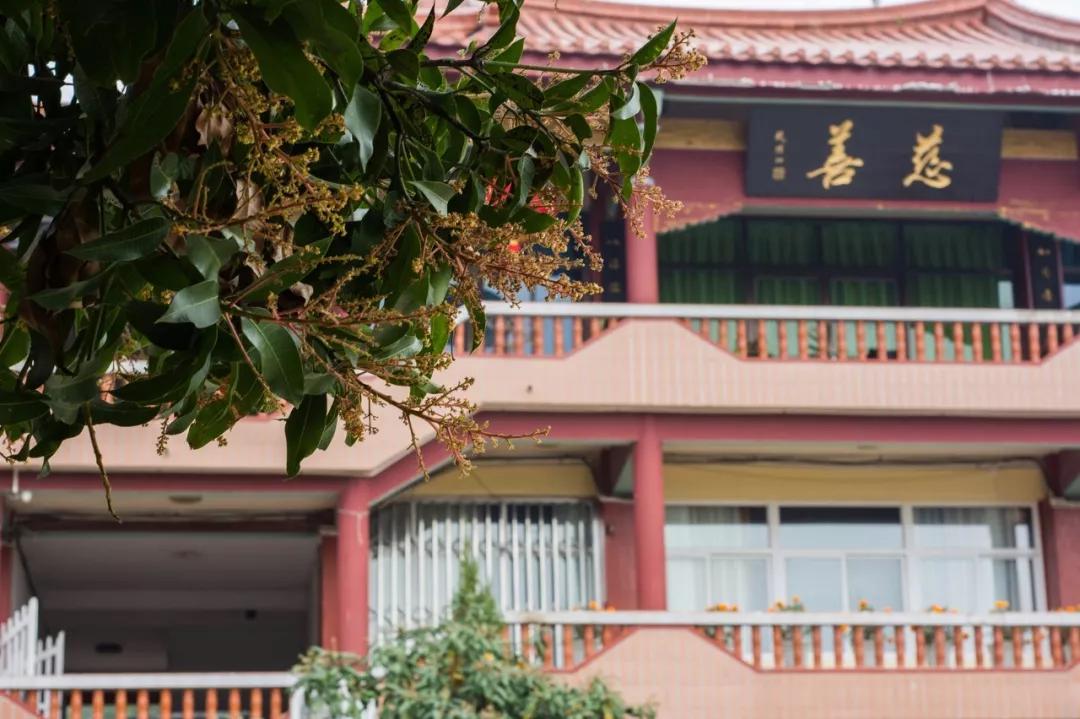 厦门海岸线咖啡网红打卡地地址,厦门观音山网红打卡地