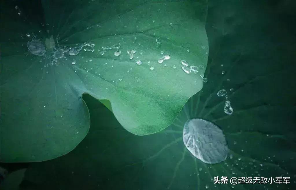 佛说做人请不要炫耀,佛说为什么不能炫耀