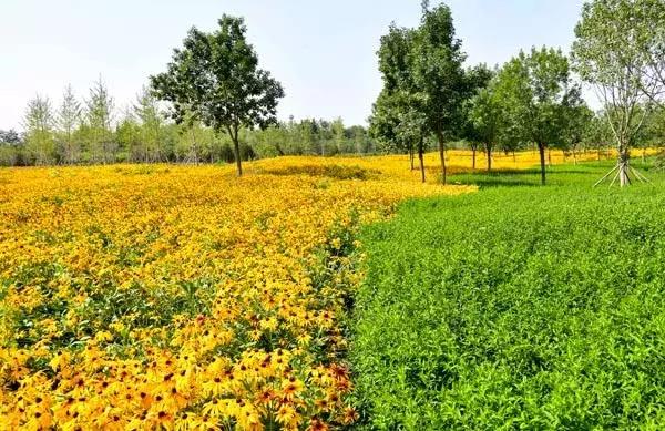 北京好消息来了,北京市的好消息