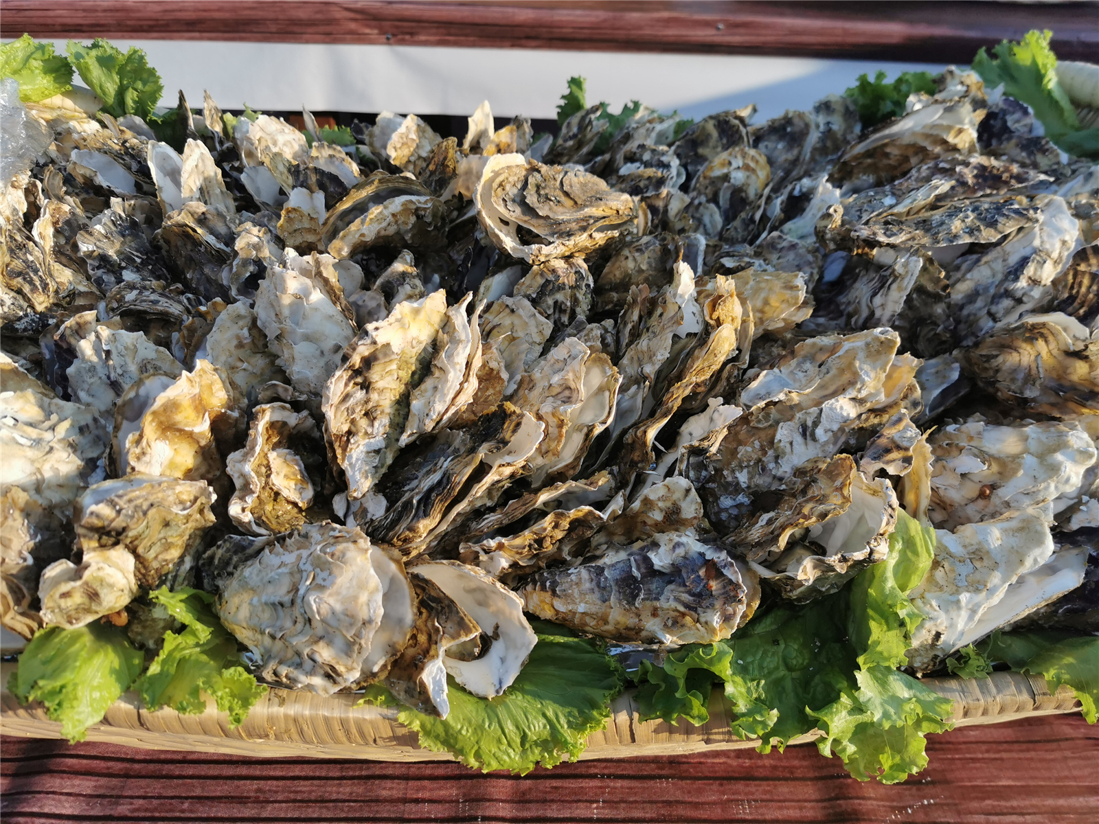 山东长岛旅游攻略四天三晚多少钱,山东长岛两天一夜旅游攻略