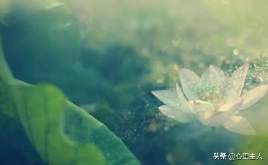 阿弥陀佛是怎样成佛的,南无阿弥陀佛是怎样成佛的