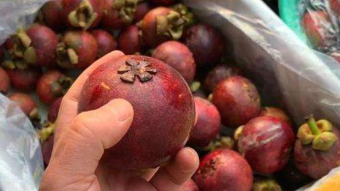 山竹怎么选公母,山竹挑选方法公母