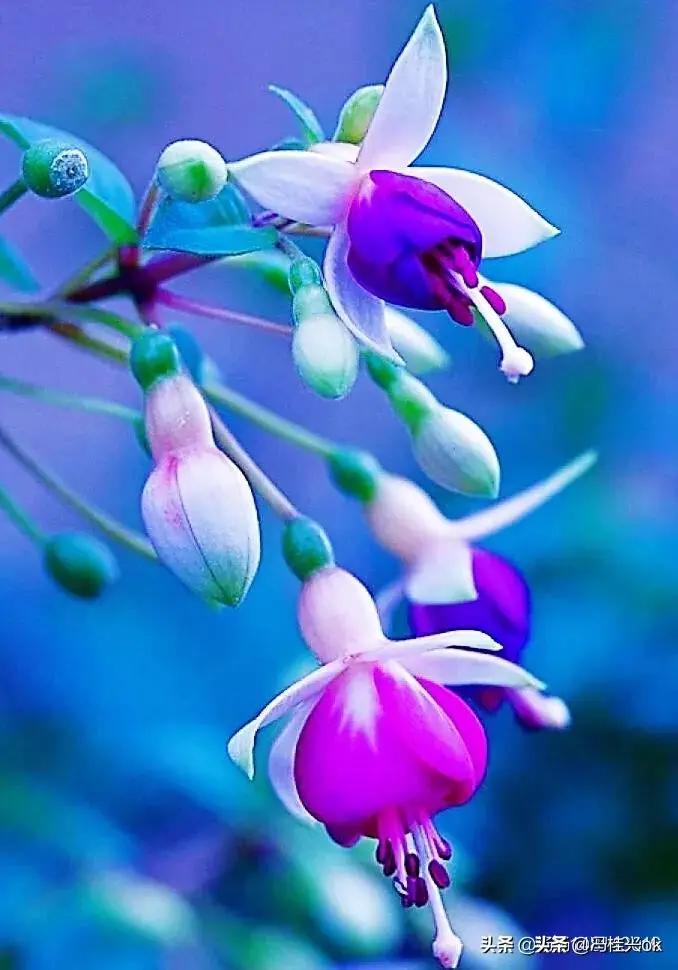 如何缓解职场压力和焦虑情绪,如何缓解职场压力导读