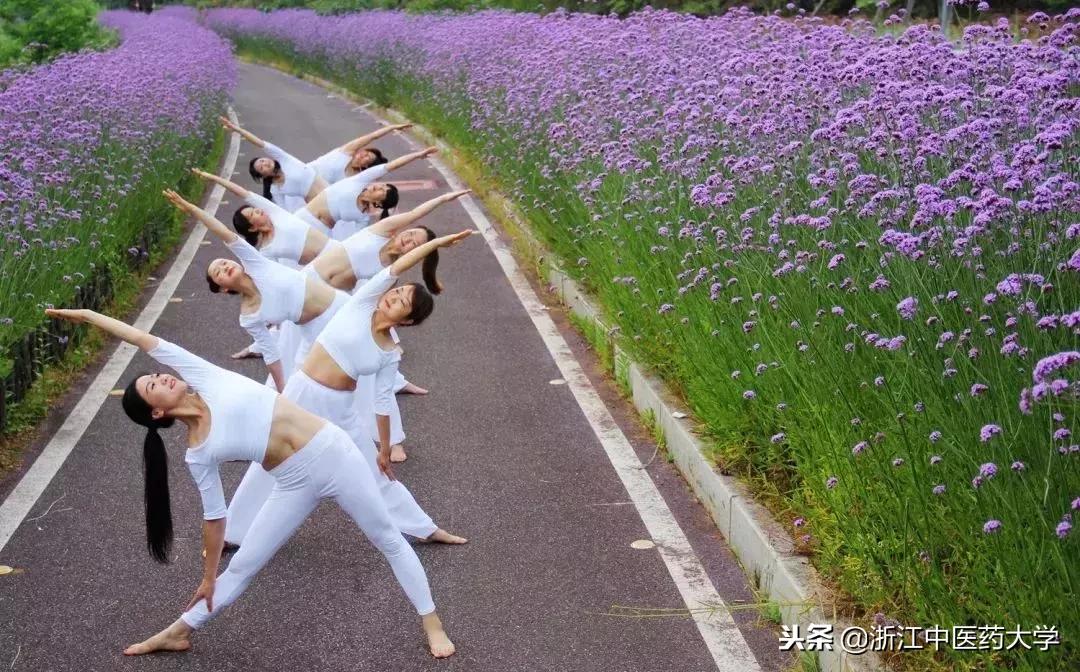 用镜头诉说中医药之美