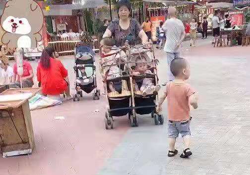 婴儿车改造宠物推车全封闭,婴儿车改造双胞胎车