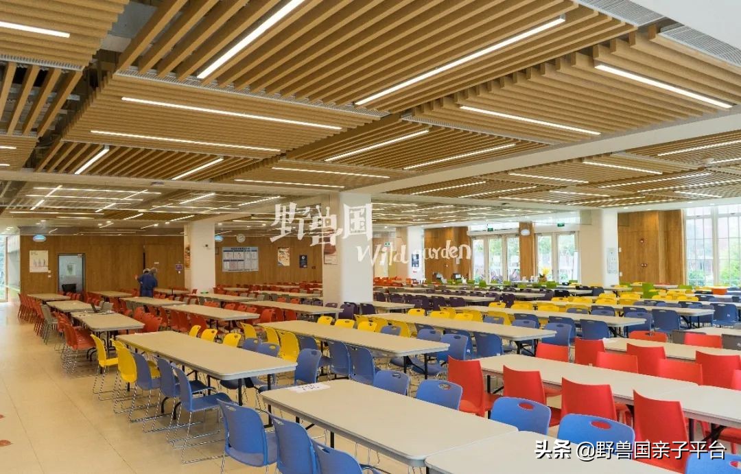 清澜山学校什么档次,入读清澜山学校需要什么条件