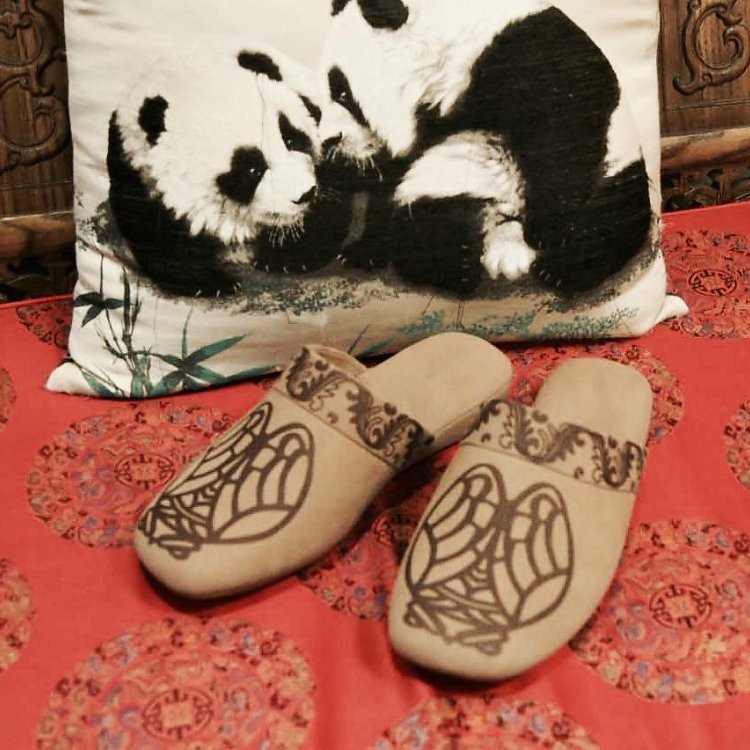 笼鞋浅出鸦头袜知是凌波缥缈身,笼鞋