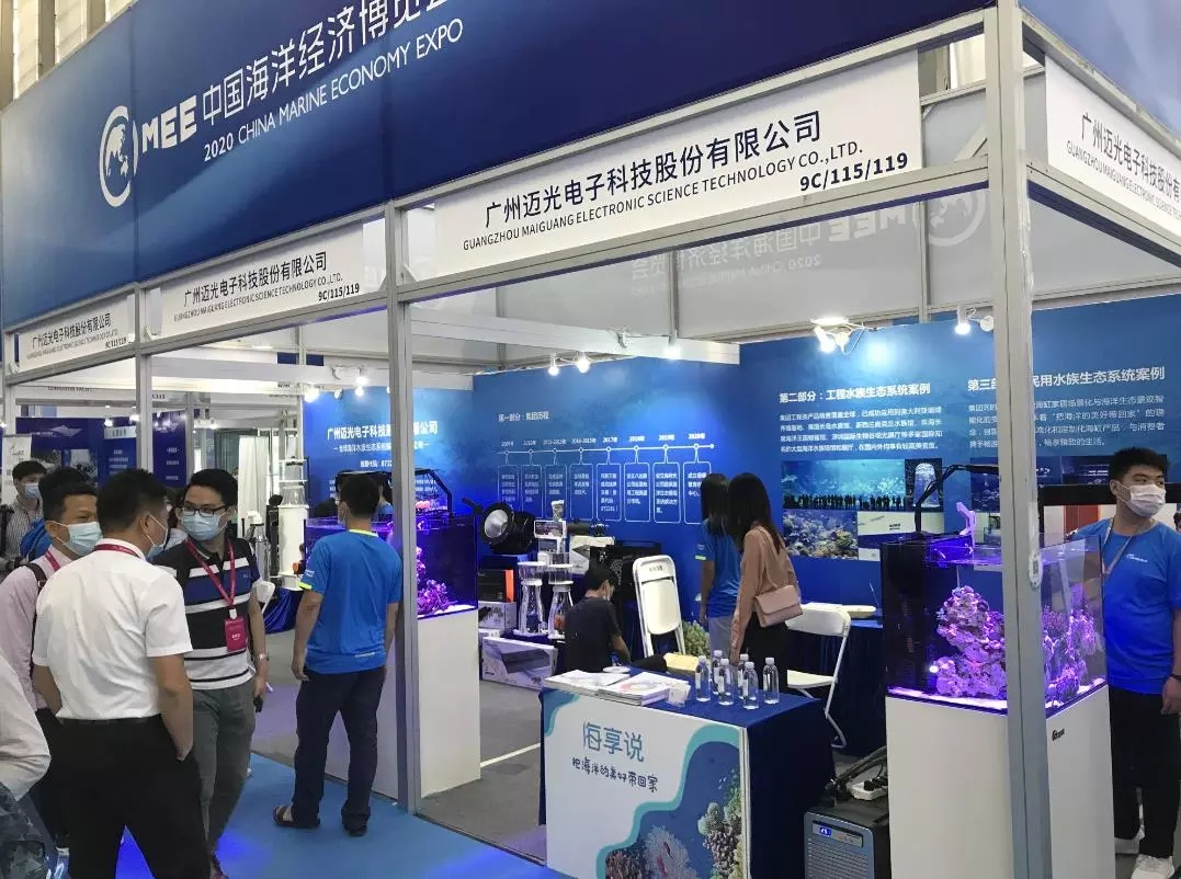 海精灵带你第一时间零距离感受2020海博会盛况