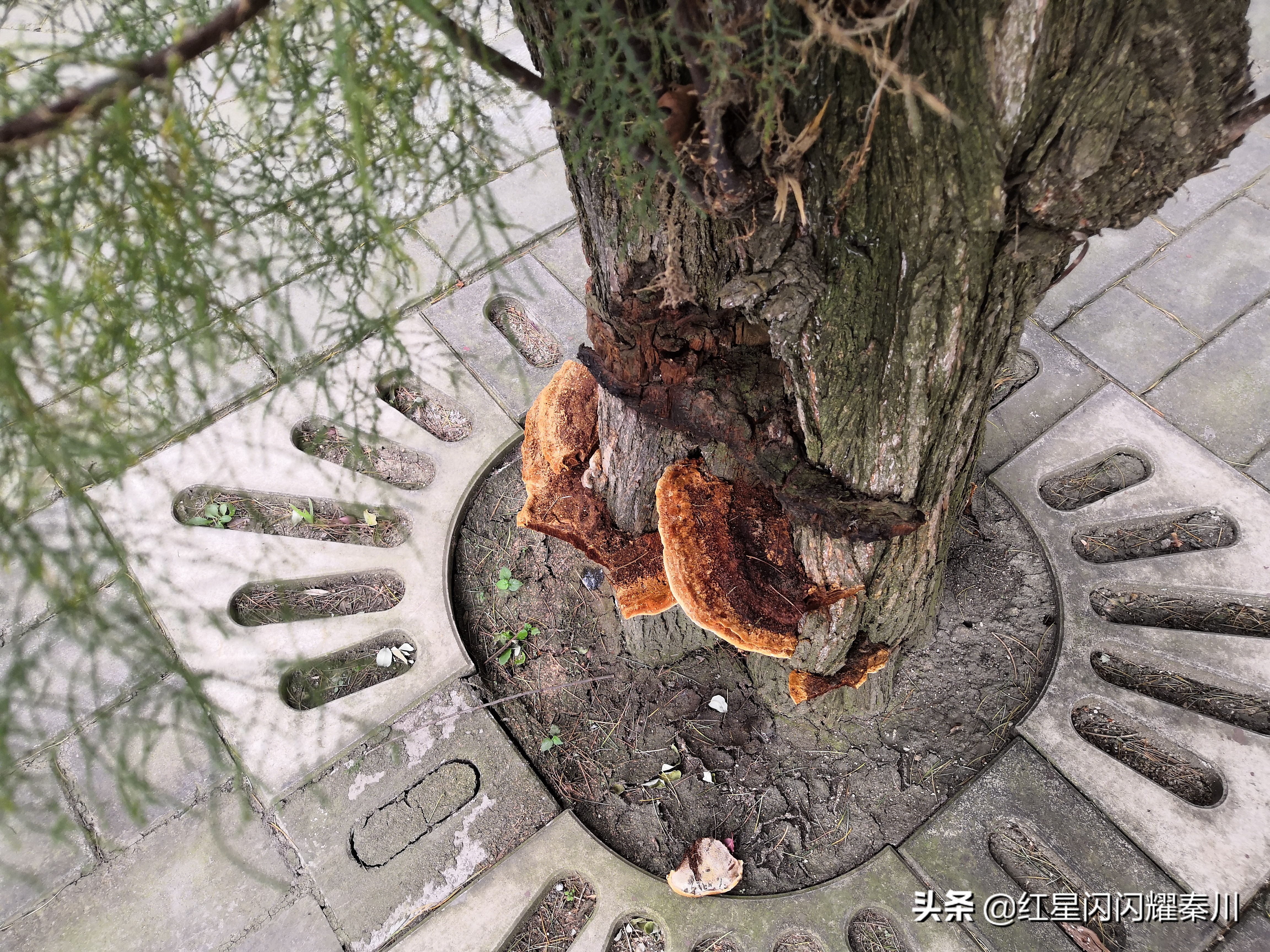 西安蓝田悟真寺简介,陕西蓝田悟真寺