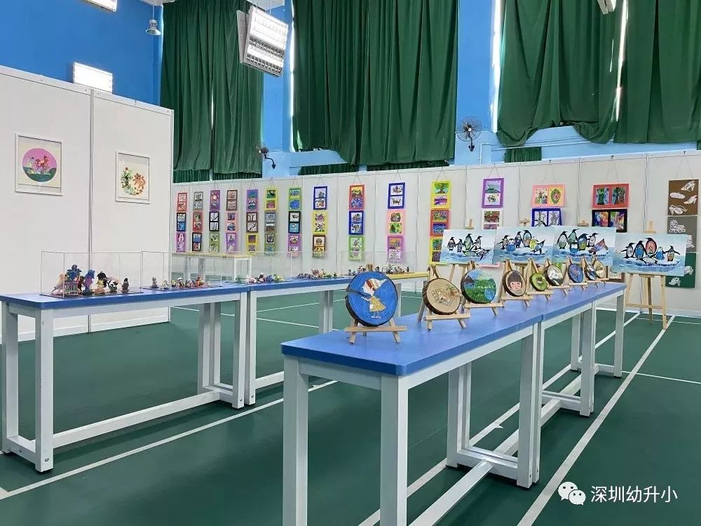 深圳最新的重点小学排名,深圳各区排名前十的小学