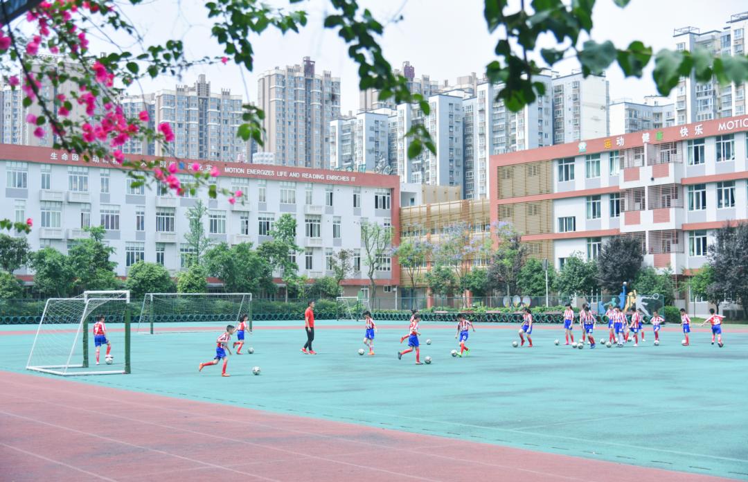 双流足球,我市新增4所全国足球特色校园