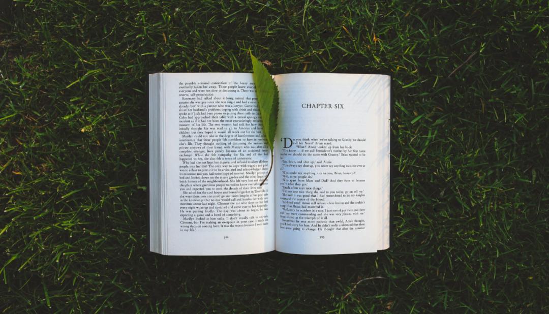 香港教育体系及分析,解读香港教育