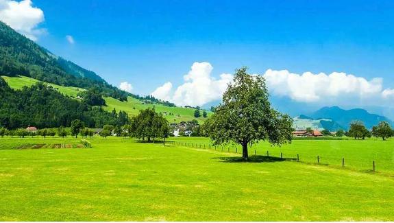 景区创新成功的案例有哪些,景区商业模式创新案例