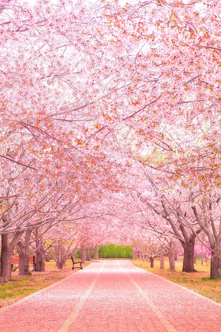 去大连海边玩一趟要多少钱,去海滨城玩有什么攻略