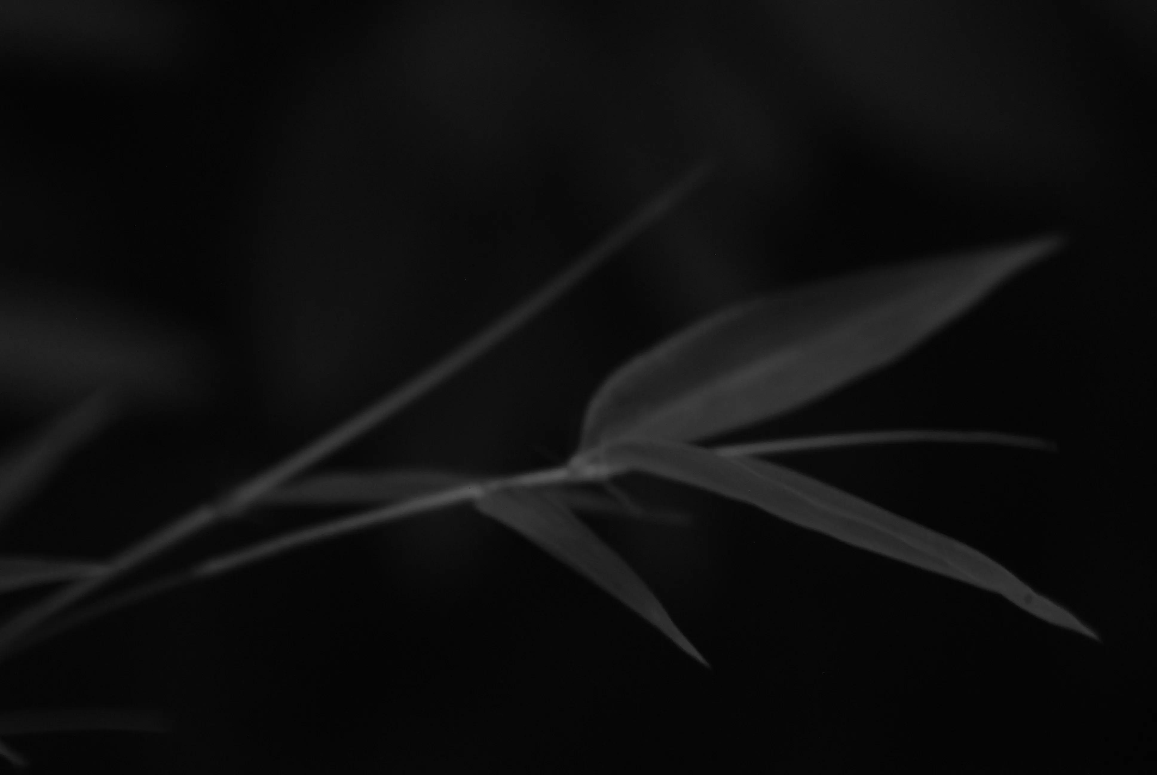 1000多的二手单反值得买吗,1000元左右二手单反全画幅