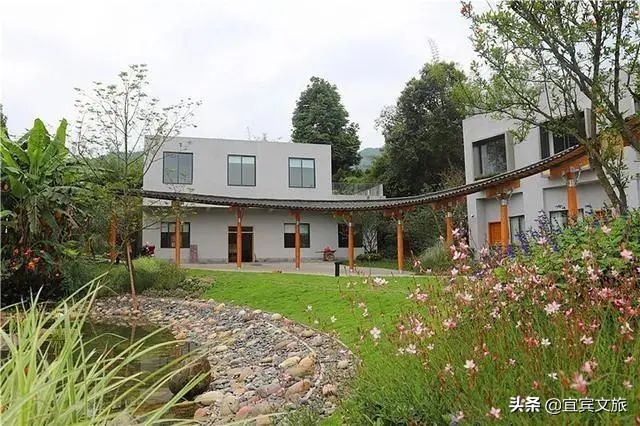 国内赏竹,中国人赏竹