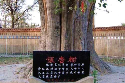 阜阳人口最多的一个县，被誉为“杂技之乡”，如今正在慢慢变好