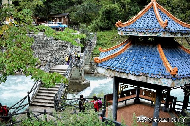 二郎山喇叭河看鹿,二郎山喇叭河看日出攻略