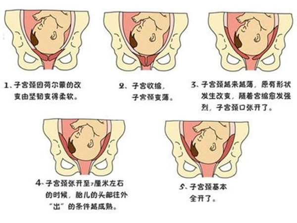 女孩胯和妇女胯有什么区别,生完孩子的胯和少女胯的区别