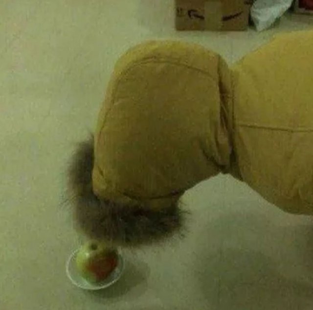 双十一买家秀曝光别急着吃土,双十一之后我受到了买家秀的惊吓