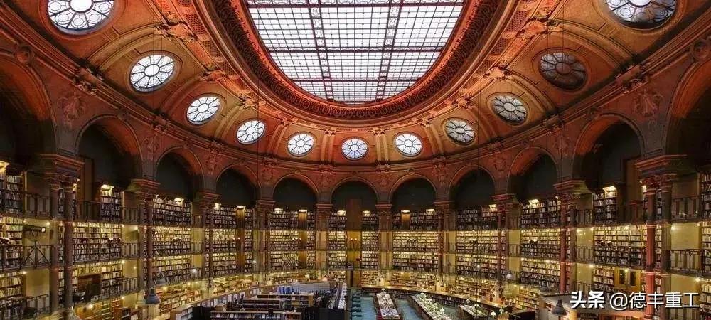 全球美到窒息的白天鹅和山水风景,全世界惊艳的图书馆