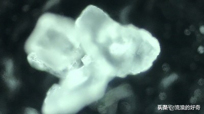 oppofindx3pro显微镜拍螨虫,oppofindx3显微镜可以看螨虫吗