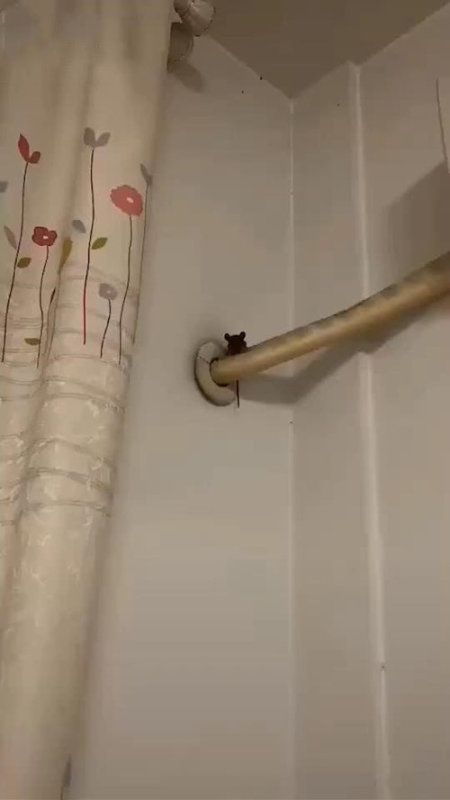 空调水管里有异物怎样取出来,空调管子里好像有老鼠