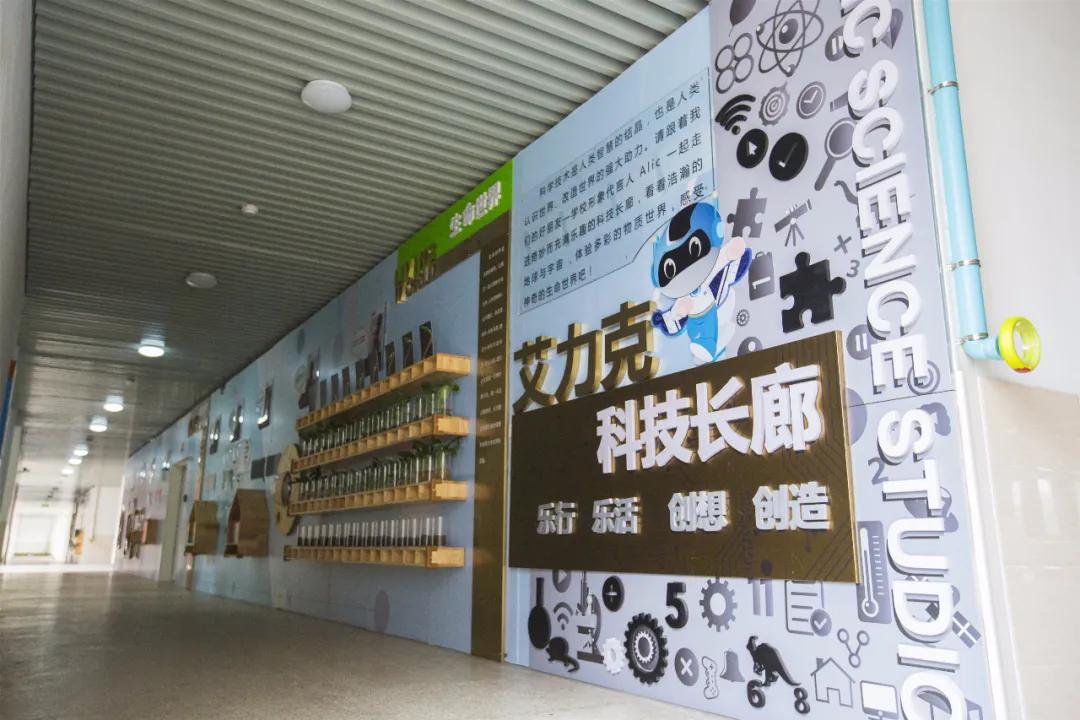 南师附小有多强,雨花南师附小