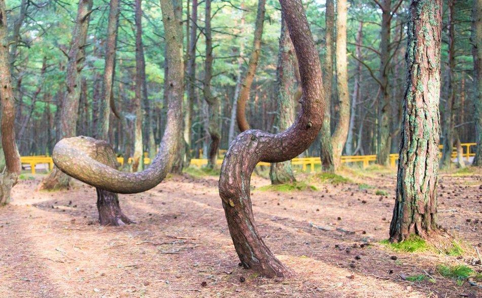 世界100大未解恐怖之谜纪录片,世界十大未解之谜