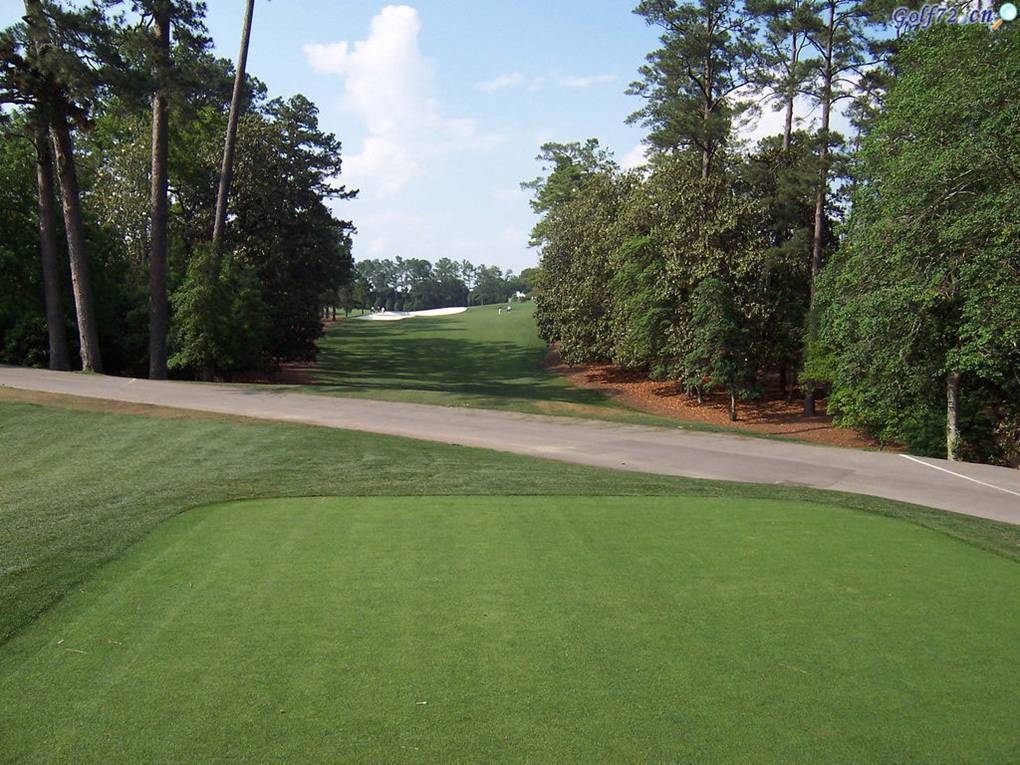 各种边坡绿化草种,边坡绿化草种如何选择