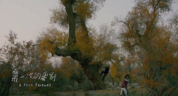 13届first青年电影展在哪举办的,first青年电影展15届颁奖