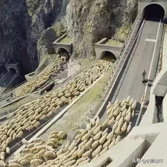 这是一条神奇的“天路”，难得一见，绝对震撼你的双眼