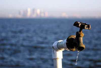 地球上宝贵的资源有哪些,地球上的资源会消失吗