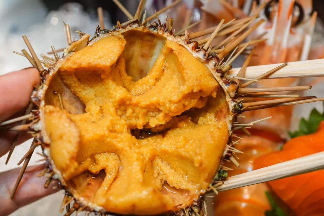 渔川禾优惠券,渔川禾精致日料自助青岛