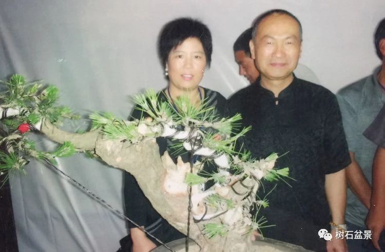 金艳盆景精品欣赏,幸得一知己