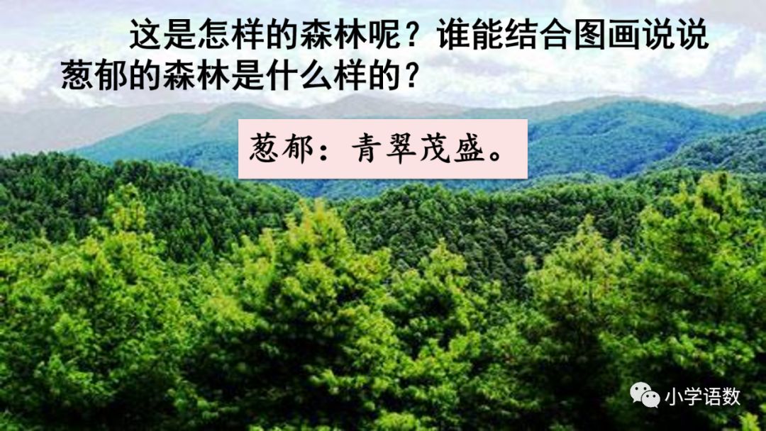 二年级下册语文彩色的梦教学视频,二年级语文下册彩色的梦教材全解