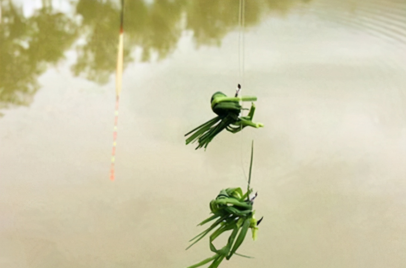 草鱼秋季挂饵,草鱼天冷用什么鱼饵
