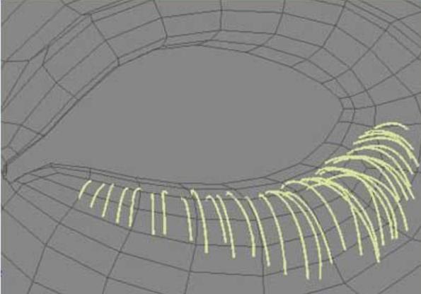 photoshop如何增长睫毛,3dmax如何做眉毛和眼睫毛