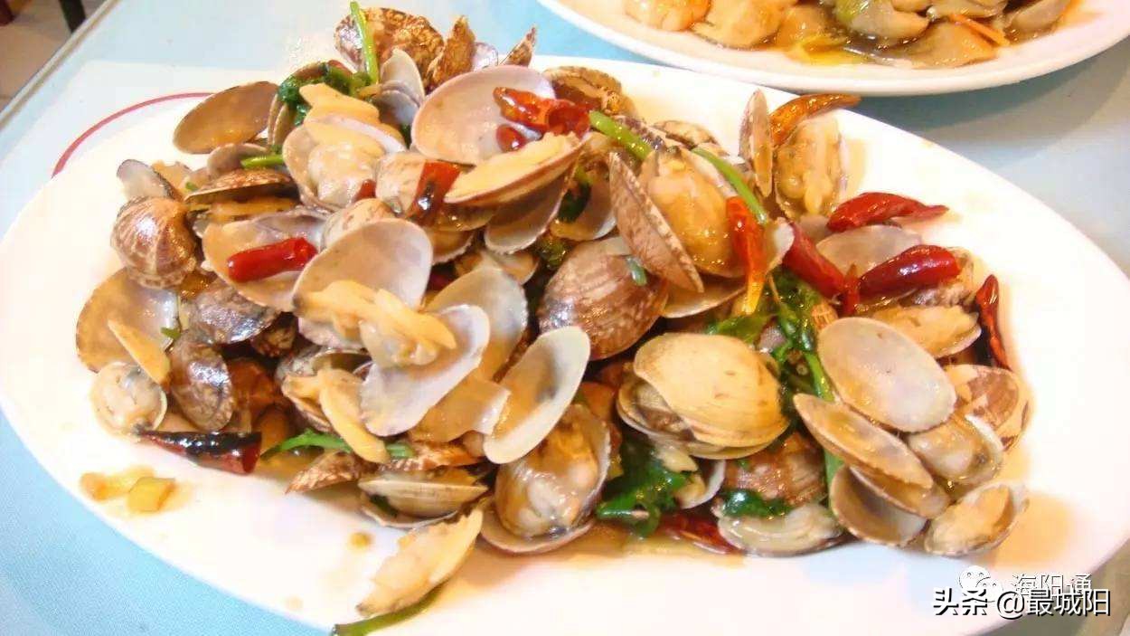 山东胶州湾蛤蜊和生蚝被海星吃掉,胶州湾蛤蜊与其它海域的外表区别