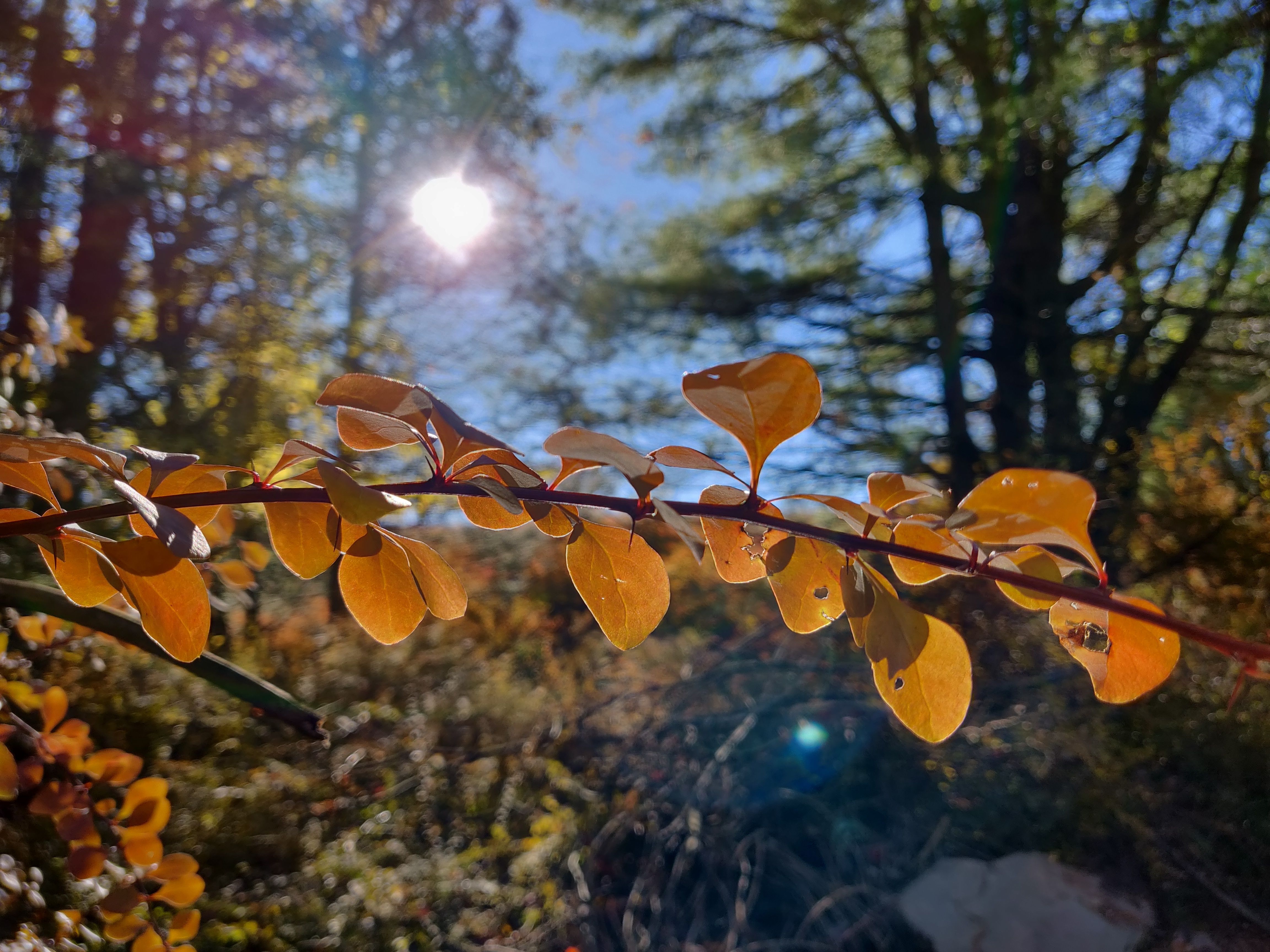 一加6t深度测评优缺点,一加6t旗舰版评测