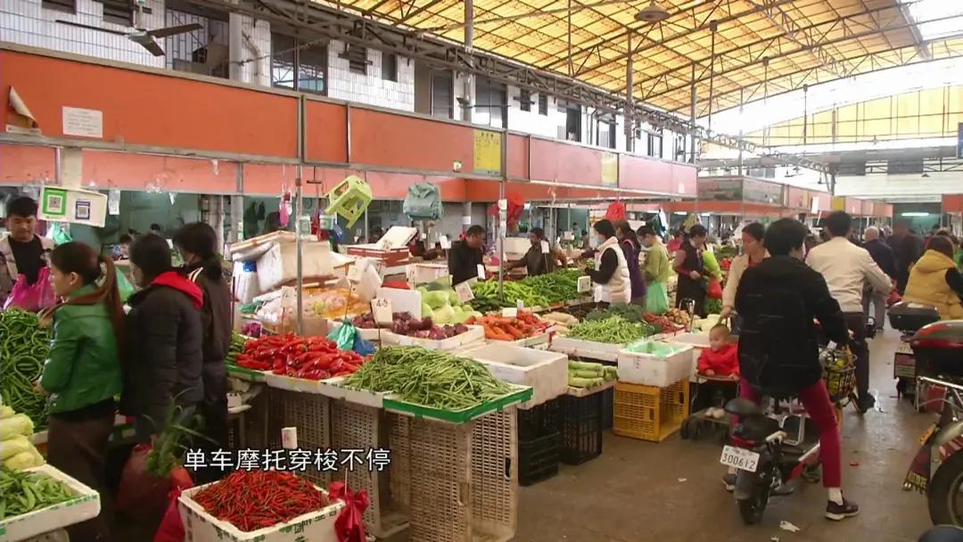 老广私藏的“心水宝地”！活禽多款，煲汤蒸煮没难度