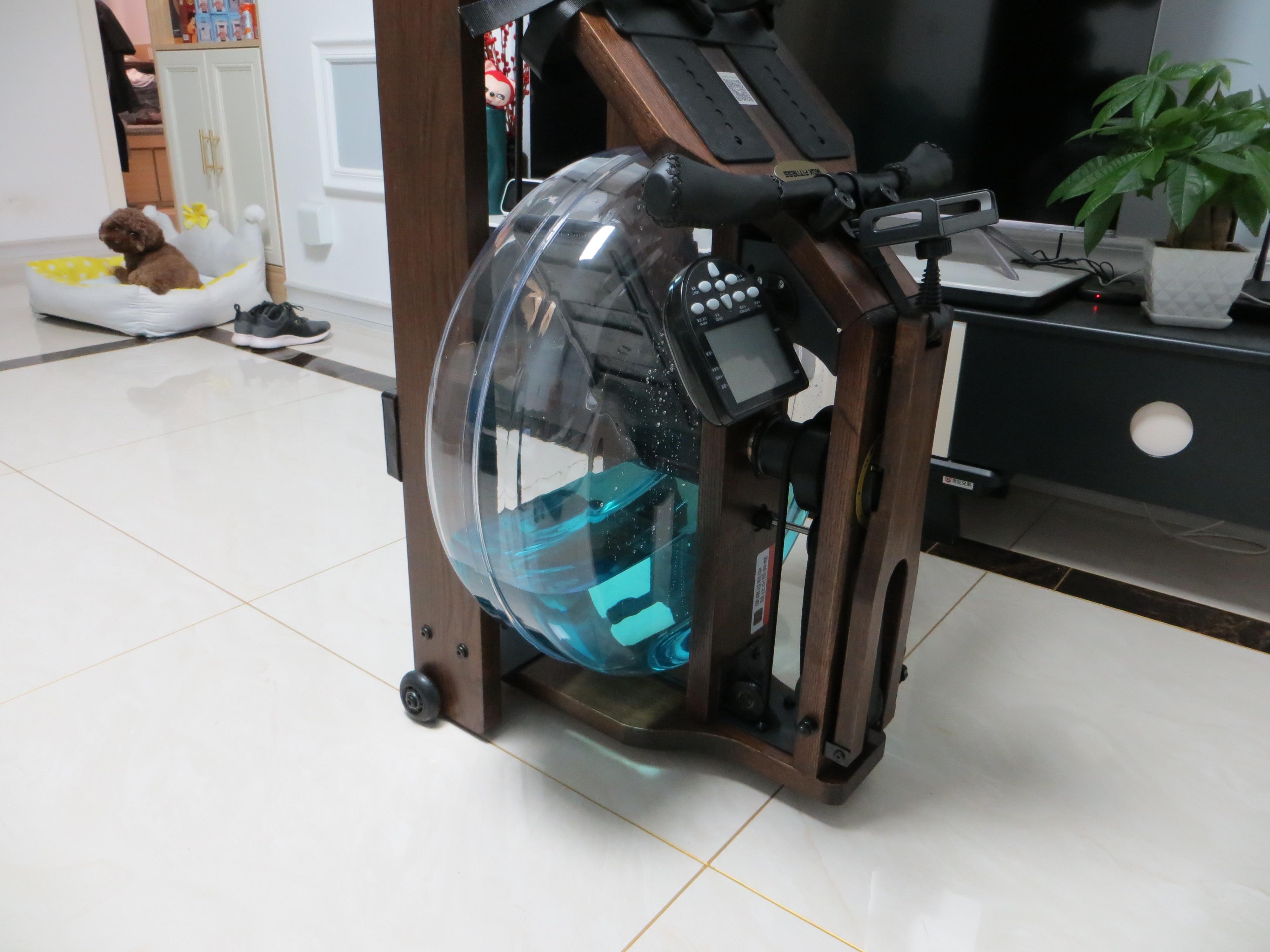 跑步机和划船机测评,划船机真的比跑步机好吗