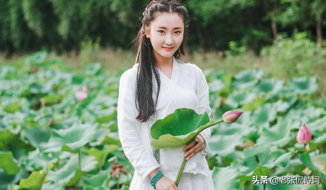 夕阳西下，一阵风吹过荷塘，唐代诗人突发灵感写下一首精彩唐诗