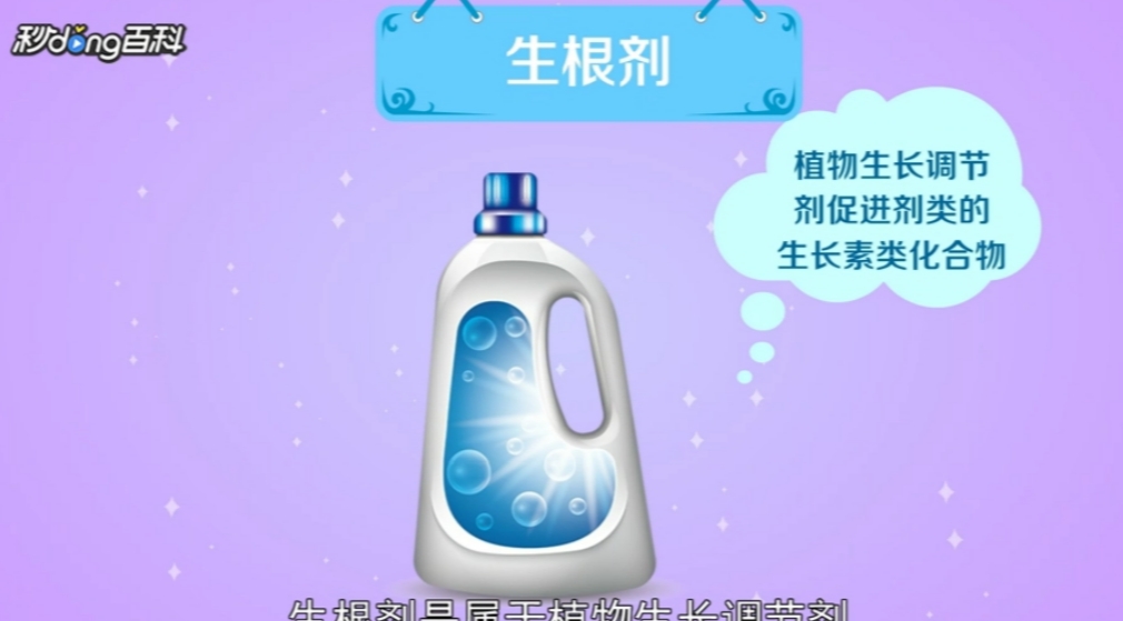 植物成了“光杆司令”，别轻言放弃，此法或可挽救