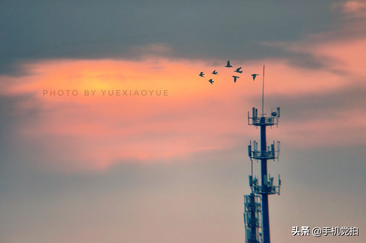 手机怎么拍朝霞最清晰,手机如何拍日出照片技巧