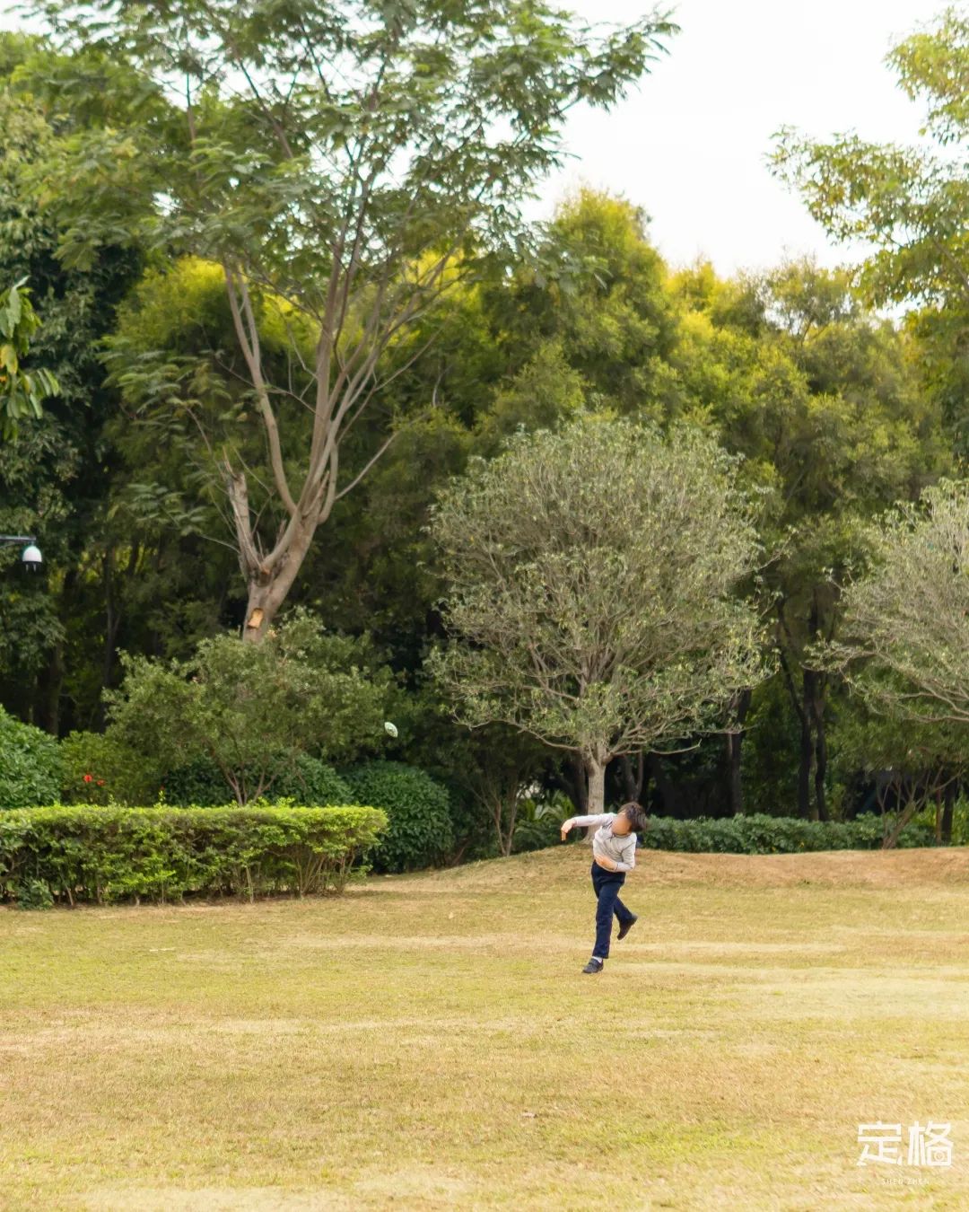 莲花山为啥一夜就火了,莲花山景区